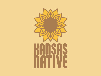Kansas Native brown flower kansas native sunflower type yellow