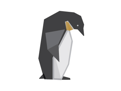 Penguin bird black grey orange penguin transparency
