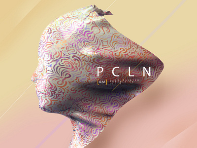 PCLN 3d comp design quick