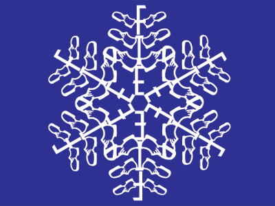 FTE Snowflake holiday illustration snow