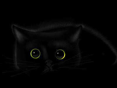 Black cat illustration procreate