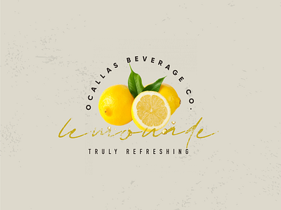 Design the brand identity for a lemonade stand. art artwork design dribbbleweeklywarmup graphic design social media typography