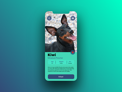 Daily UI 006 User Profile