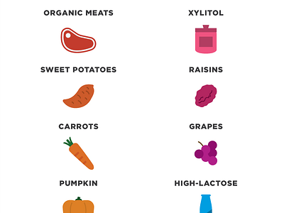 Can My Dog Eat This? design dog icons infographic love rainbow