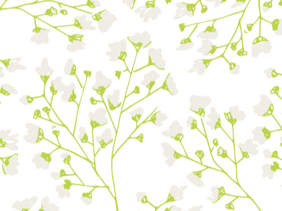 Baby's Breath Floral floral green illustration spring
