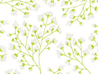 Baby's Breath Floral green spring illustration floral