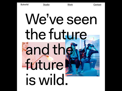 Bukwild.com brand design responsive web design typography website