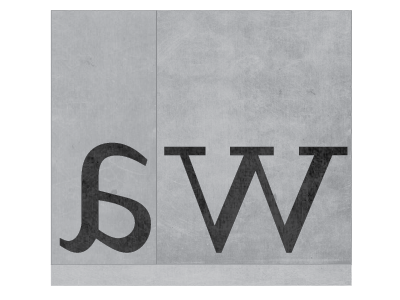 Metal Type Identity identity letterpress logo mark metal type silly