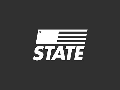 State Vertical flag logo minimal state type usa
