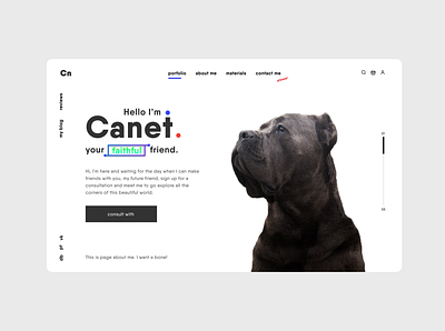Cane Corso - wonderful dog. design minimal typography ui ux
