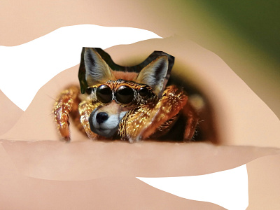 WIP “Fox Spider” Part 2 aarondrongstudios chimera creature digital painting fox image manipulation mashup procreate spider surealism