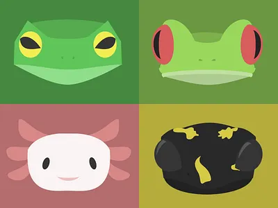 Amphibians Illustration amphibian animals animals illustrated axolotl concept design frog illustration salamander