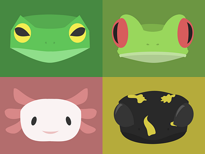 Amphibians Illustration amphibian animals animals illustrated axolotl concept design frog illustration salamander