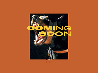 Coming Soon 🔥 FOROS EVAN coming dog future latvia ochre poster riga soon typogaphy yellow