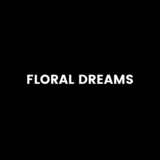 FD Creative Solutions