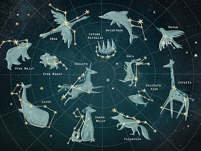 Constellation map bear constellations creative market galaxy illustrations map night sky space stars unicon universe