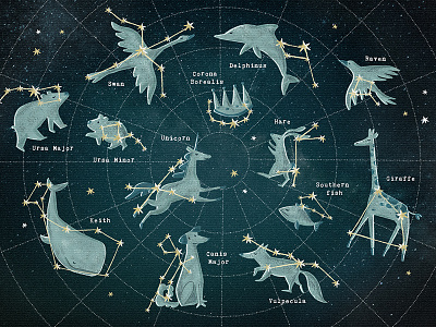 Constellation map