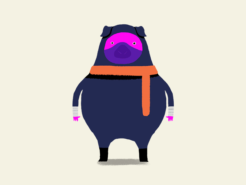 Pig Ninja animation celanimation character character design illustration