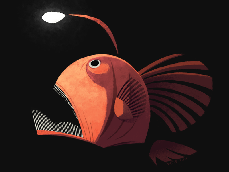 Lanternfish by Melissa van der Paardt on Dribbble