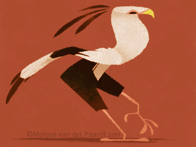 Secretary bird