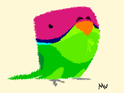 Plum-Headed Parakeet