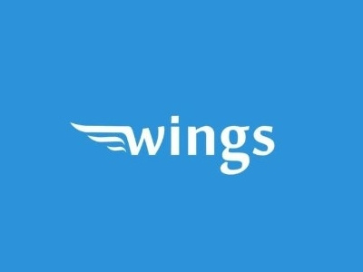 Wings logo logotype mark transfer wing