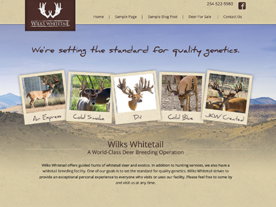 Wilks Whitetail custom theme design logo outdoor wildlife wordpress