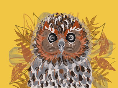 Hot Cocoa Owl birds branding coffee cup design grapic design illustration owl