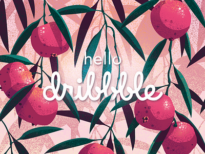 Hello Dribbble australian botanical debut foliage fruit illustration plant quandong