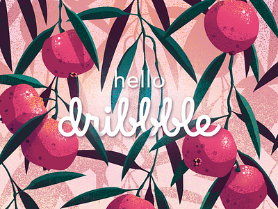 Hello Dribbble