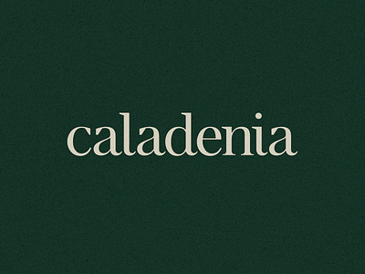 Caladenia branding logo logotype organic premium serif skincare typography wordmark