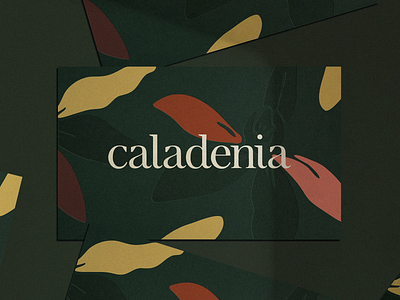 Caladenia Business Card botanical branding business card clinics dermatology floral illustration letterpress logo logotype print skincare wordmark