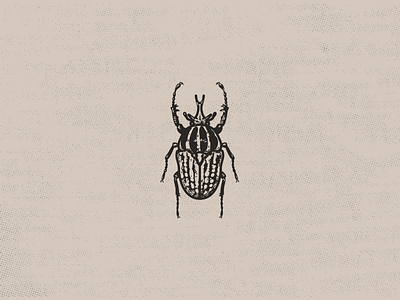 Goliath Beetle beetle entomology goliath illustration insect