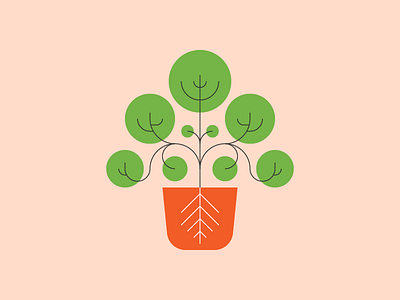 Personal Growth growth illustration leaves plant texture