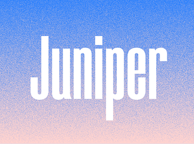 Juniper Condensed condensed font grit juniper name texture type typogaphy