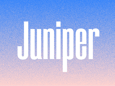Juniper Condensed