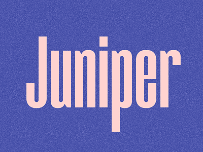 Juniper Condensed v2 condensed font revision type typography