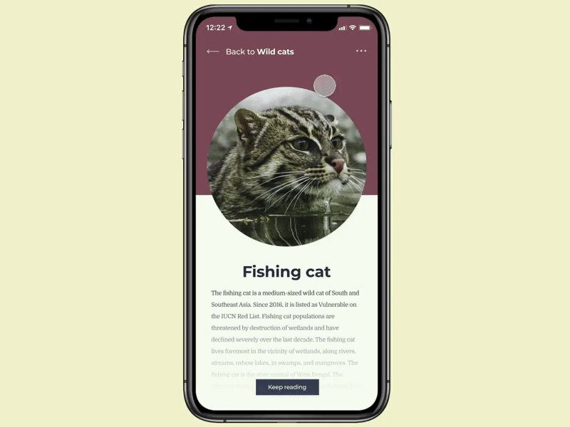 Daily UI #45: Info Card animal animated animation design article page dailyui dailyuichallenge day 045 day 45 dribbble popular mobile app design mockup nature photography purple typography uiux usable user experience design user inteface user interaction uxuidesign