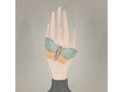 Moth on the hand art artist artwork cute draw drawing hand illustraion illustrator moth