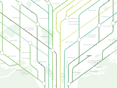 oh maps. design infograph map tree