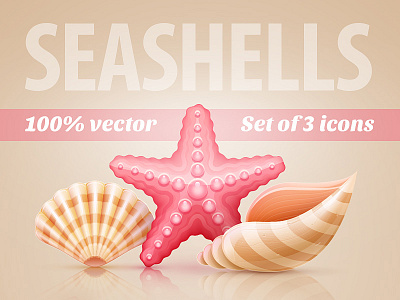Seashells and starfish - vector icon illustration seashell set star vector