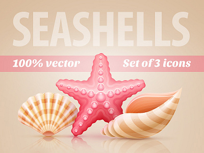 Seashells and starfish - vector