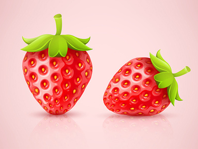 Strawberries vector