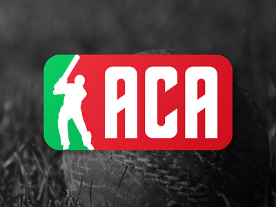 African Cricket Association Concept Logo branding design icon illustration logo sports
