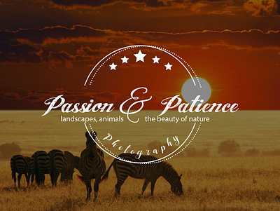 Passion & Patience logo branding branding design graphic illustration logo logo design