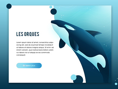 Les orques design orqua ui web