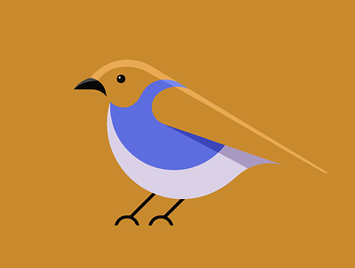 Bird illustration vector bird design illustration illustrator vector
