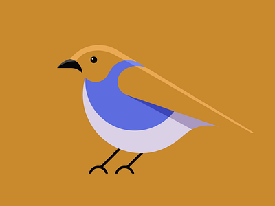 Bird illustration vector