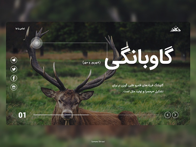 Full screen landing page campaign deer design environmental environmental campaign flat full screen landing page fullscreen fullscreenui landing page onepage simple typography ui uidesign uiux we design web website