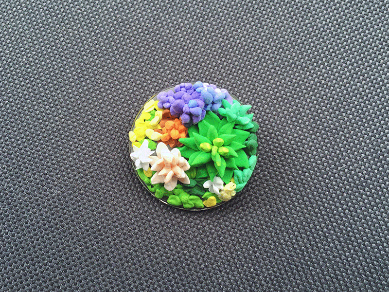 Succulents clay diy handcraft